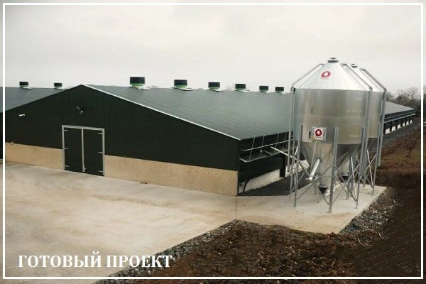 Этапы возведения птицефабрики от завода ВелесТент-крл
